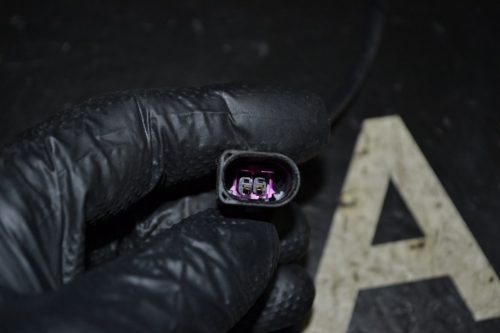 _DSC0079_1024x683 _DSC0079_1024x683