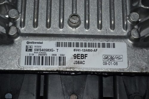 _DSC0093_800x533 _DSC0093_800x533