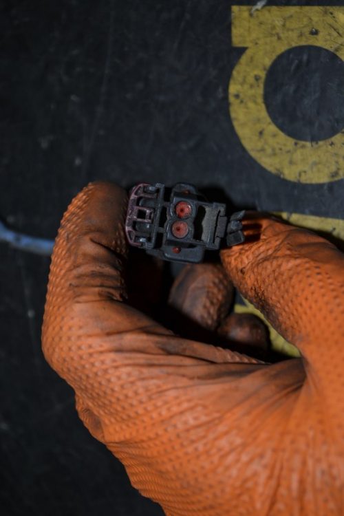 _DSC0098_800x533 _DSC0098_800x533