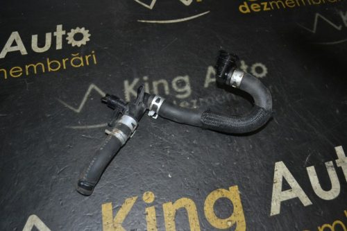 _DSC0021_800x533 _DSC0021_800x533