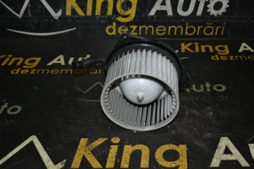 _DSC0024_800x533 _DSC0024_800x533