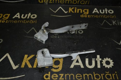 _DSC0026_800x533 _DSC0026_800x533