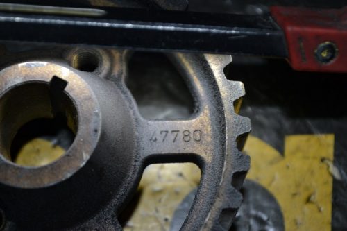 _DSC0029_800x533 _DSC0029_800x533