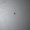 _DSC0038_800x533