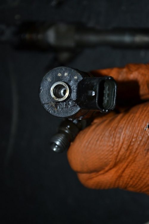 _DSC0051_800x533 _DSC0051_800x533