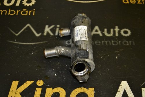 _DSC0071_800x533 _DSC0071_800x533