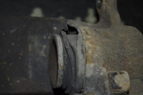 _DSC0079_800x533 _DSC0079_800x533