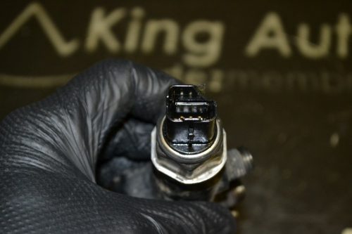 _DSC0079_800x533 _DSC0079_800x533