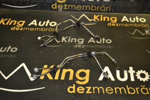 _DSC0088_800x533 _DSC0088_800x533