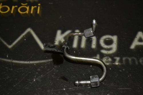 _DSC0096_800x533 _DSC0096_800x533