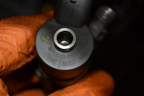 _DSC0163_800x533 _DSC0163_800x533