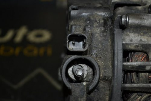 _DSC0165_800x533 _DSC0165_800x533