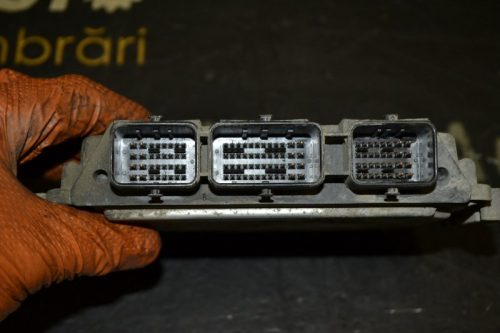 _DSC0189_800x533 _DSC0189_800x533