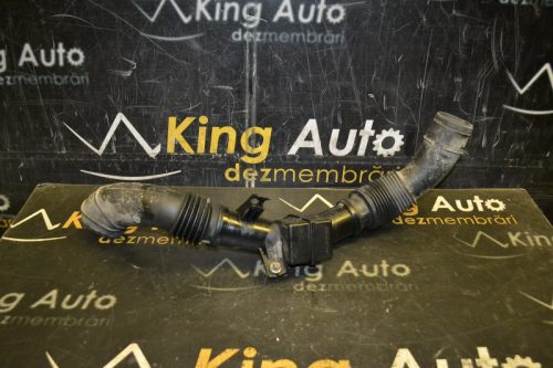 _DSC0202_800x533 _DSC0202_800x533