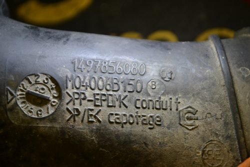 _DSC0204_800x533 _DSC0204_800x533