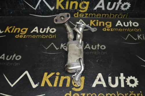 _DSC0227_800x533 – Copy