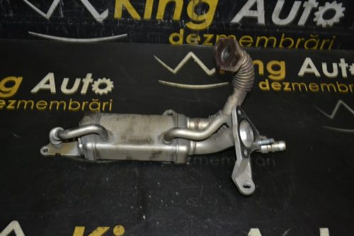 _DSC0228_800x533 – Copy