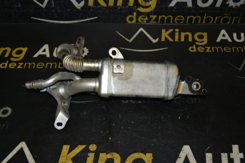 _DSC0229_800x533 – Copy