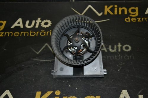 _DSC0015_800x533