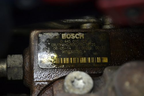 _DSC0070_800x533