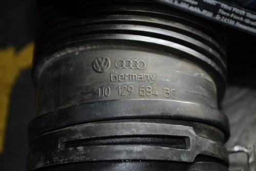 _DSC0076_800x533 _DSC0076_800x533