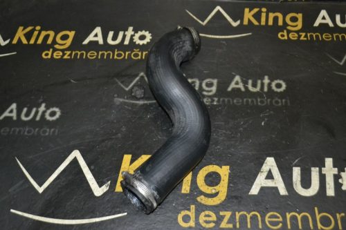 _DSC0202_800x533