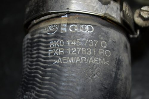 _DSC0204_800x533