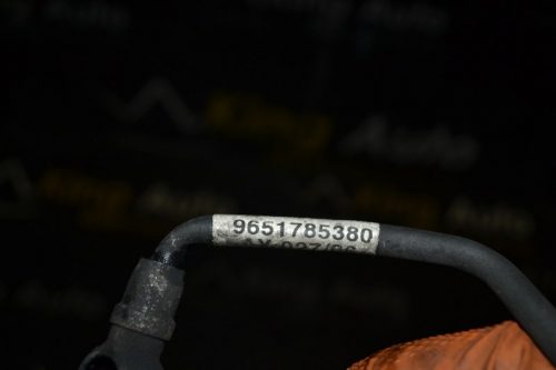 _DSC0068_800x533 _DSC0068_800x533