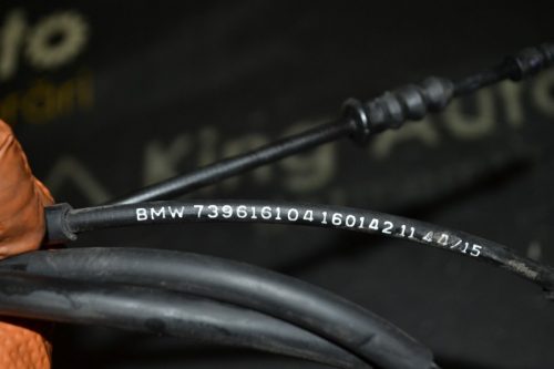 _DSC0040_800x533