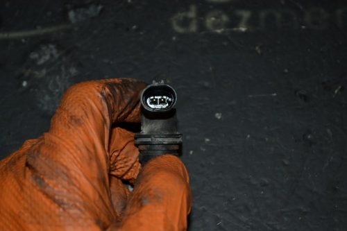 _DSC0105_800x533 _DSC0105_800x533