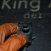 _DSC0015_800x533