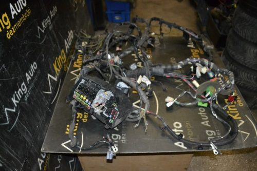 _DSC0041_800x533 _DSC0041_800x533