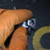_DSC0053_800x533