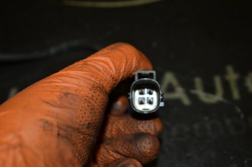 _DSC0150_800x533 _DSC0150_800x533
