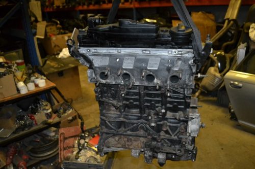 _DSC0202_800x533
